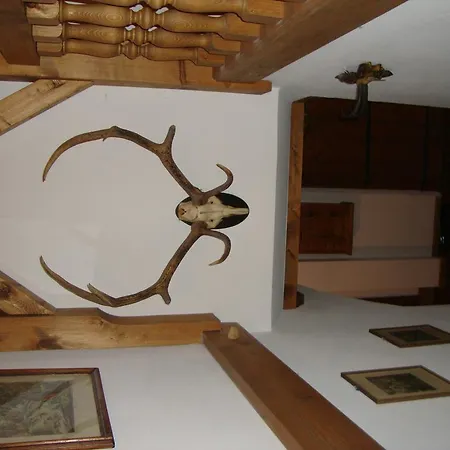 Kurz Apartment *